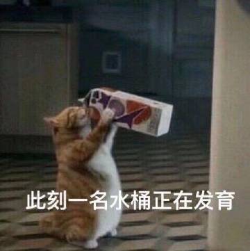 助手哥有点6的微博